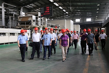 2018年9月12日，全國政協(xié)常委、提案委員會副主任郭庚茂、支樹平率領調研組蒞臨公司開展調研
